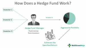 hedge fund business model in india