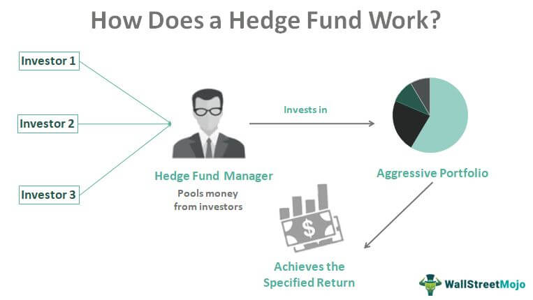 Hedge Funds Are