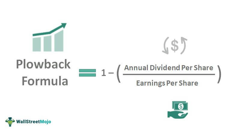 Plowback Ratio (Formula, Examples) | How to Calculate Plowback Ratio?