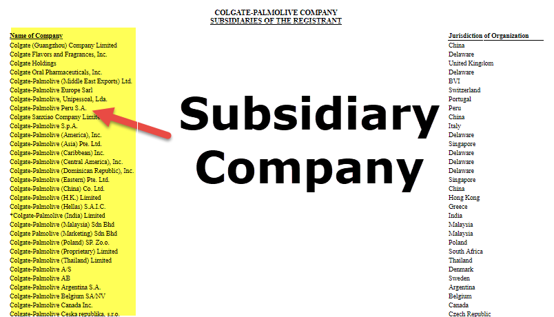 Subsidiary company