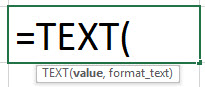 TEXT Formula in Excel