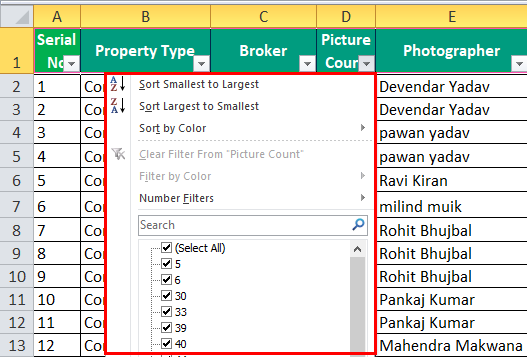 Auto Filter in Excel Example 1-3