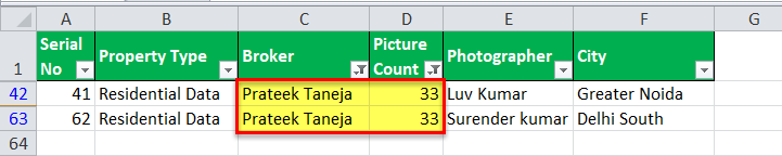 Auto Filter in Excel Example 1-6