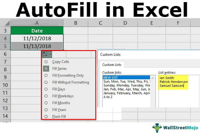 Funnel web spider Painting Accurate AutoFill in Excel - How to Use? (Top 5 Methods with Examples)