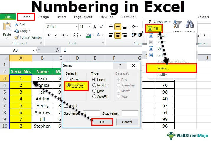 Numbering in Excel | How to Automatically Add Serial Numbers in Excel?