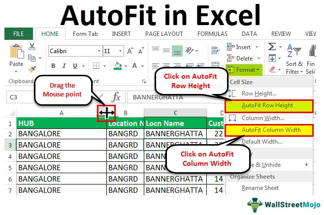 Autofit In Excel How To Auto Fit In Excel Using Top 5 Methods