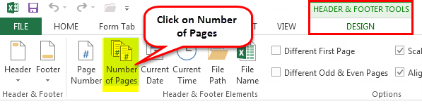 Number of Pages