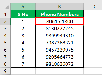 Format Phone Number Example 1-6