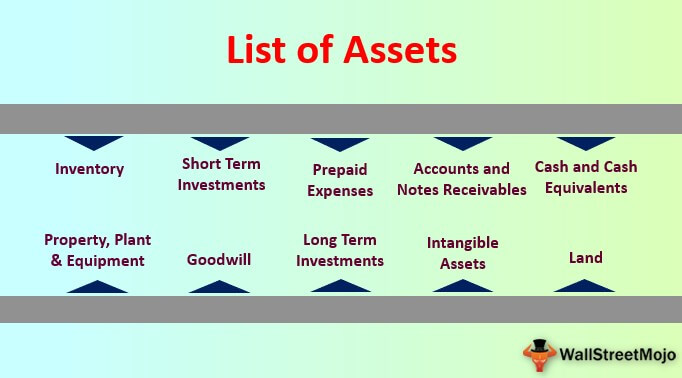 What are Plant Assets?