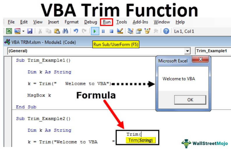 VBA TRIM | How to use VBA TRIM Function?