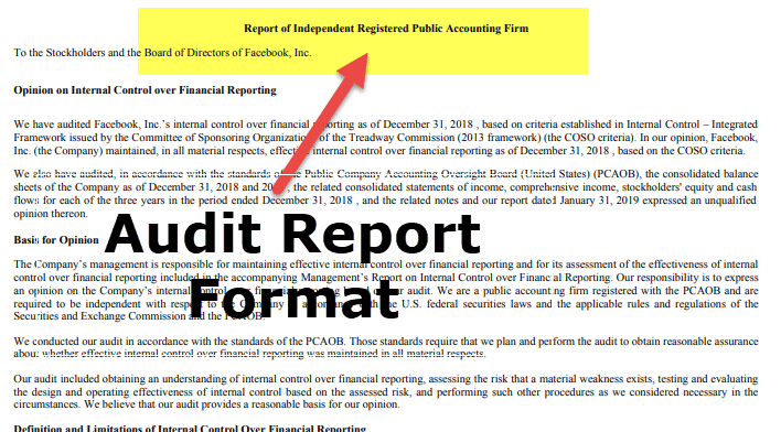 Rapoartele de audit şi obiectele de catalog