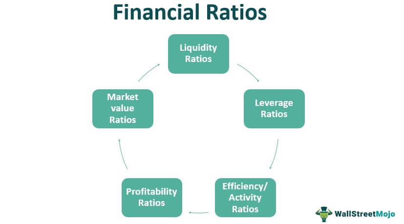 types of financial ratios step by guide with examples what is a cash inflow ipsas accrual