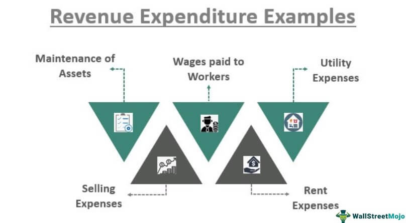 Revenue Expenditure