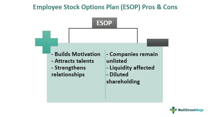 Employee Stock Option Plan (ESOP) - Meaning, Type, Example