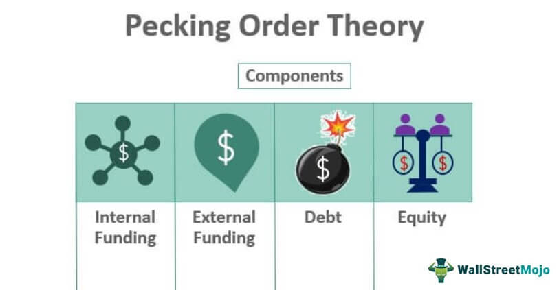 thesis on pecking order theory