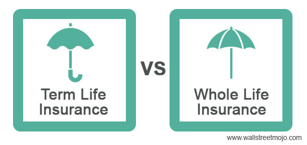 Hija Inconcebible alcohol Term Life vs Whole Life Insurance | Which Insurance is Better?