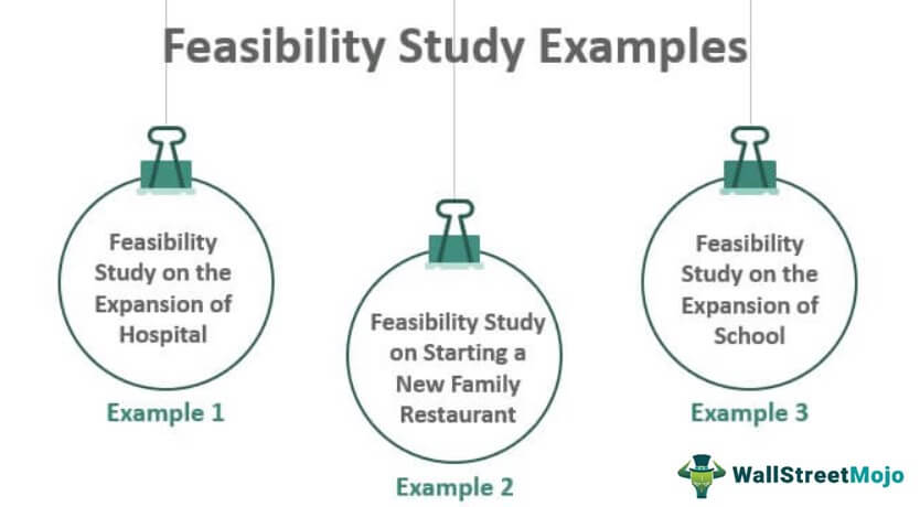 Feasibility Study Examples