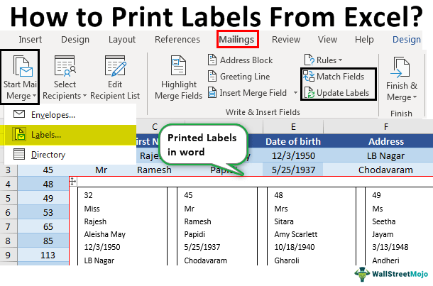 How to Print Address Labels From Excel? (with Examples)