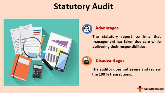 Statutory Audit (Meaning, Examples) | What is Statutory Audit?