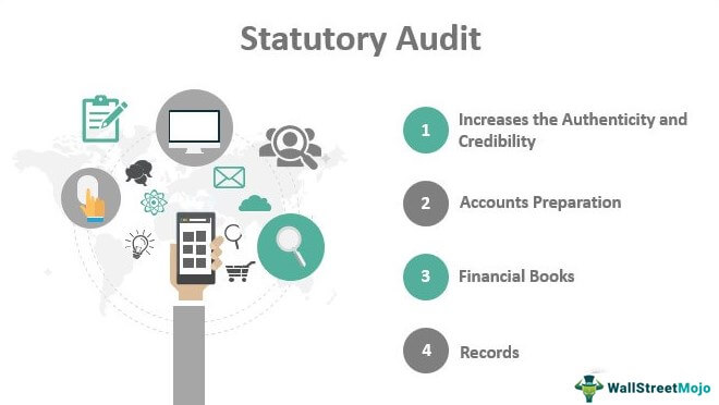 statutory audit meaning examples what is financial statements for dummies pdf profit and loss in retail