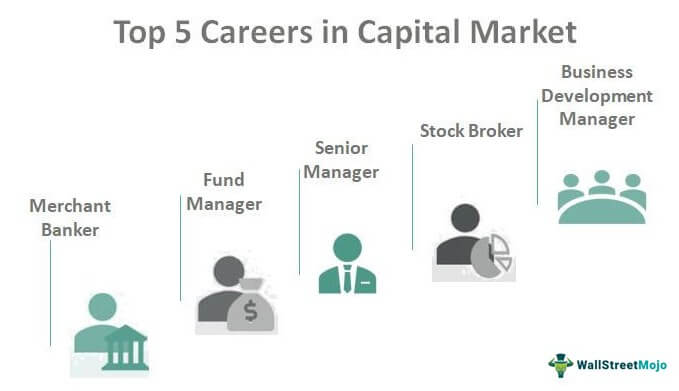Hummingbird ånd aIDS Careers in Capital Market | List of Top 5 Job Options, Career Path & Roles