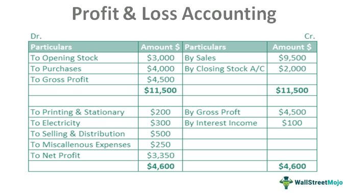 profit and loss accounting definition what is p l statement pharmaceutical company financial statements assets list in balance sheet
