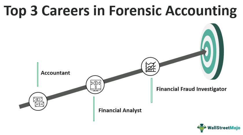 Forensic Accounting Careers