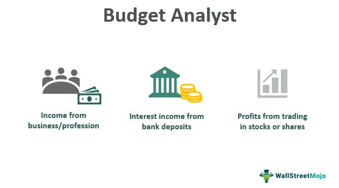 Budget-Analyst