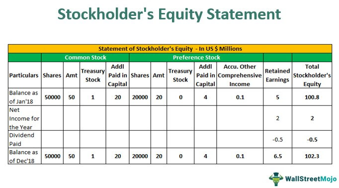 Stockholder's Equity Statement