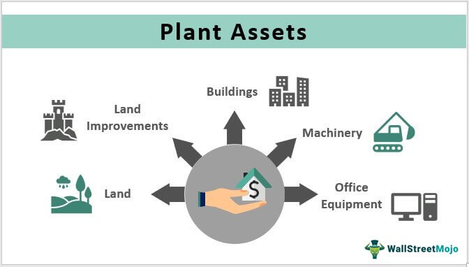 Plant-Assets