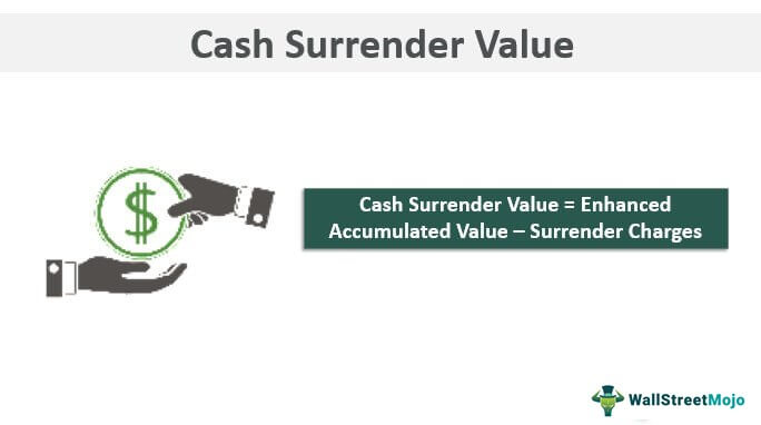 computadora crecer Proponer Cash Surrender Value of Life Insurance (Meaning, Examples)