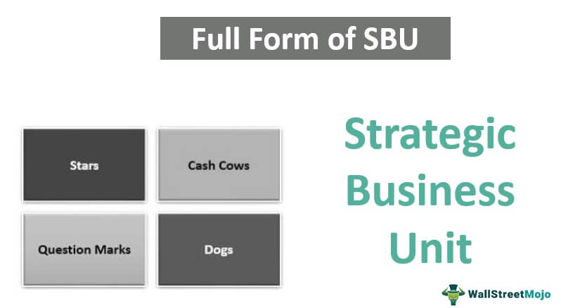 Full Form of SBU