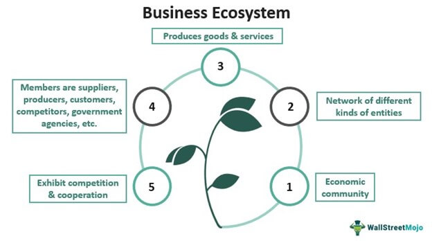 Ecosystem meaning