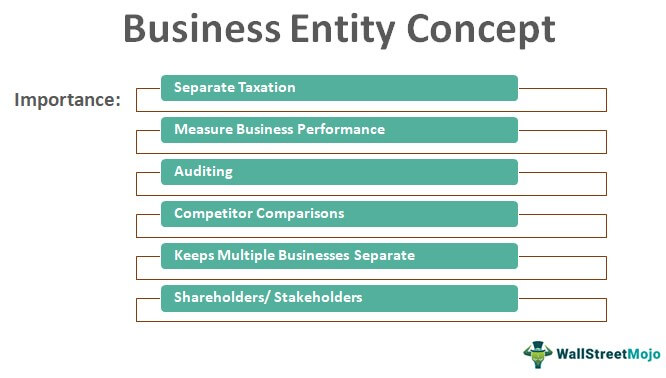 Business Entity Concept - Definition, Example, How It Works?