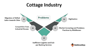 Cottage Industry - Meaning, Examples, How it Works?