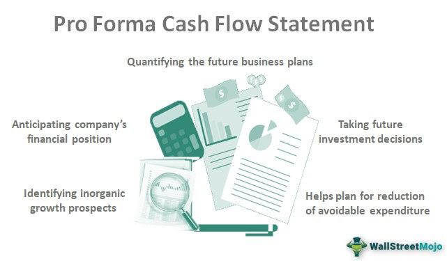 Pro Forma Cash Flow Statement