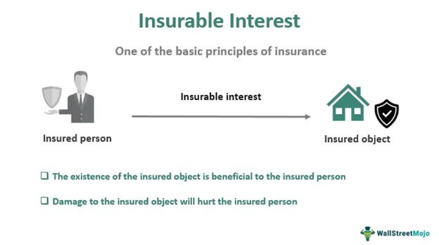 Insurable Interest - Meaning, Principle, Example, How it Works?
