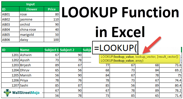 Lookup Function In Excel Tutorial Examples How To Use 8577