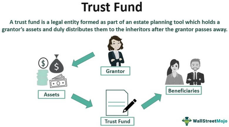 Trust Fund - Meaning, Features, Types, How it Works?