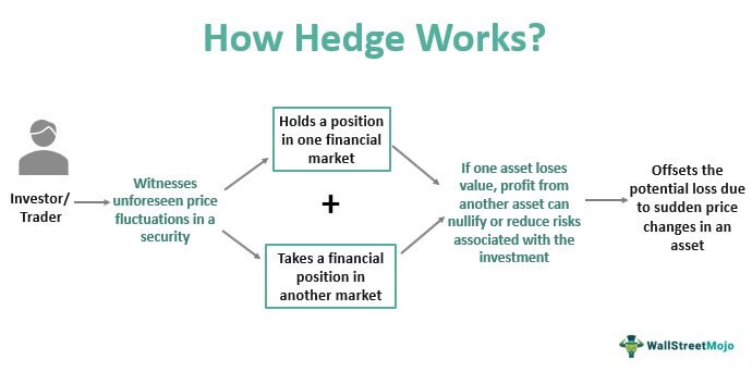 Hedging in financial markets cheating forex club