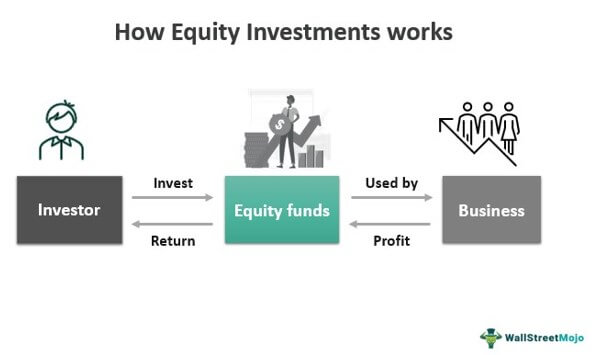 What is Equity Investment? What Are Some Examples of Equity Investments?