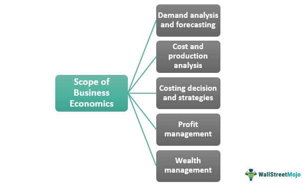 managerial economics definition nature and scope
