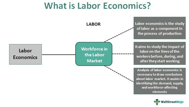 labor market examples
