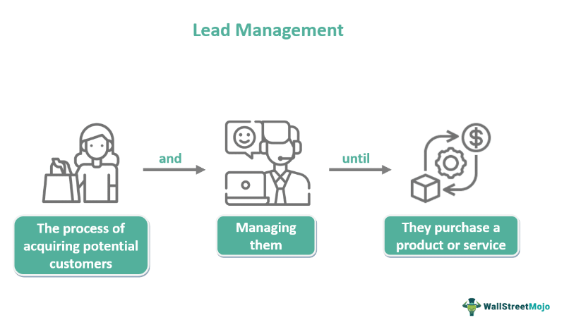 lead management strategies 